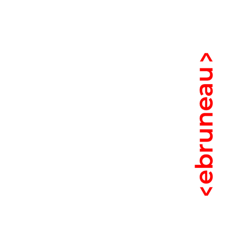 ERIC BRUNEAU. Directeur Artistique Numérique.